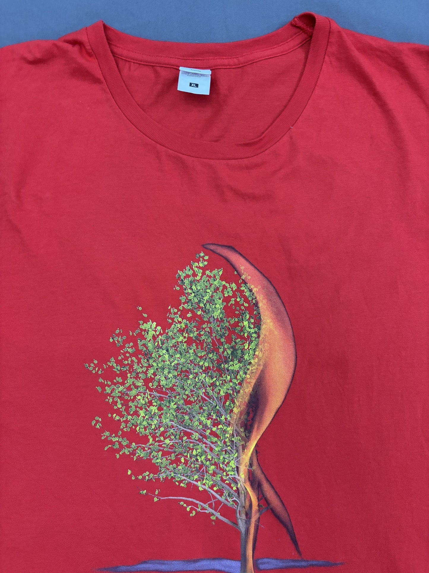 Fruit of the Loom Red Welsh Occult Conference 2020 Graphic T-Shirt - M