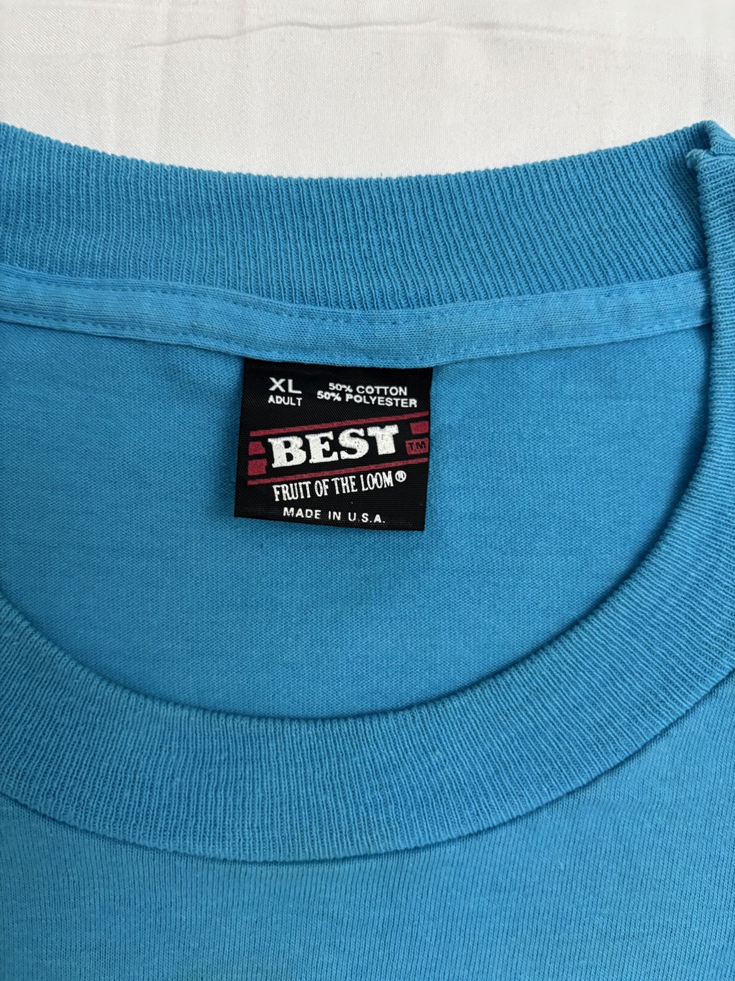 Fruit of the Loom "I Survived the Storm of the Century" Graphic Blue T-Shirt - XL