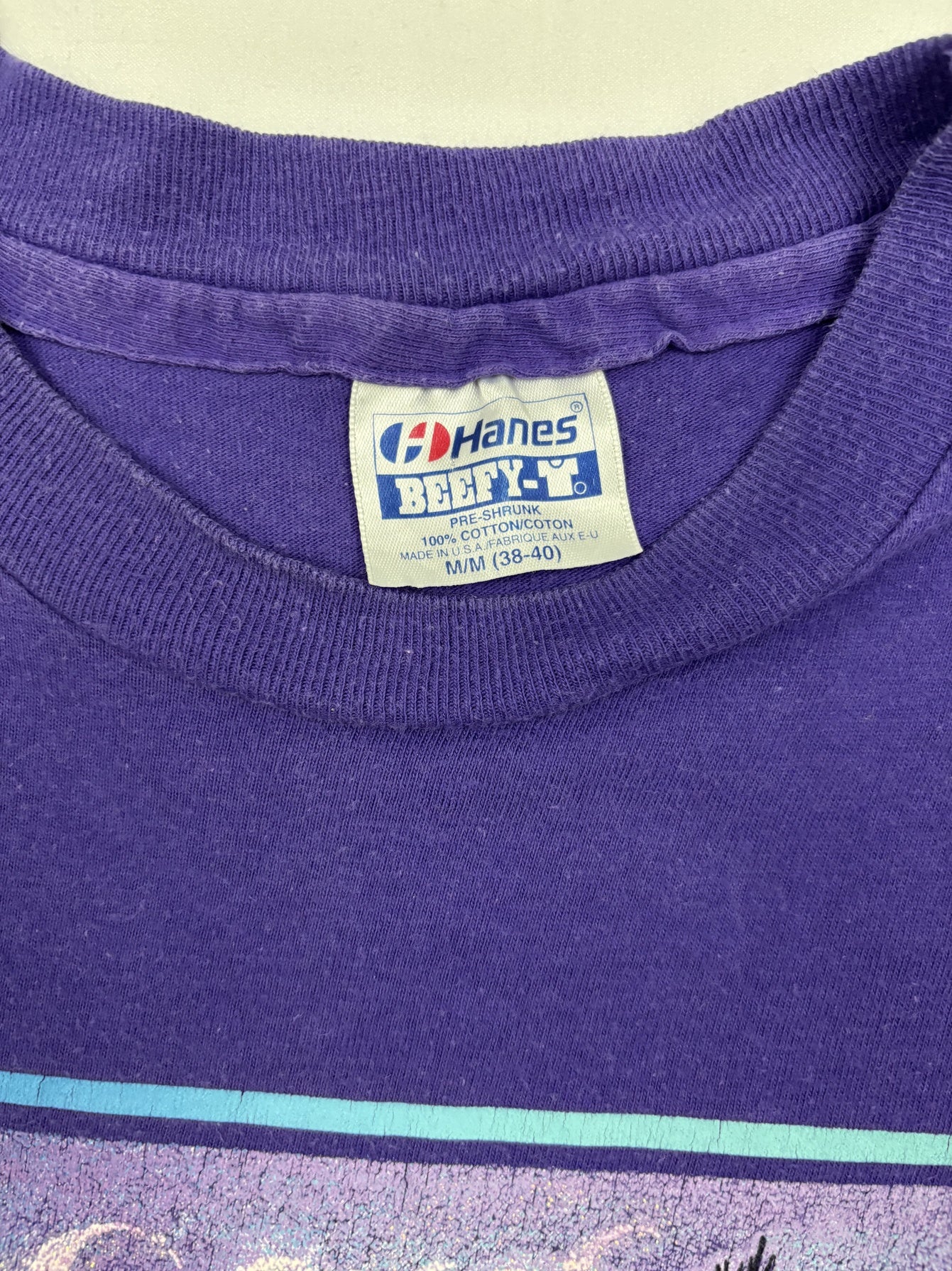 Hanes Beefy-T Black Hills Purple Scenic Graphic T-Shirt - S