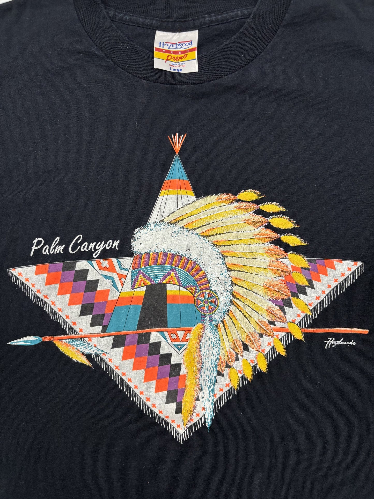 Hazelwood Palm Canyon Native Graphic Black T-Shirt - L