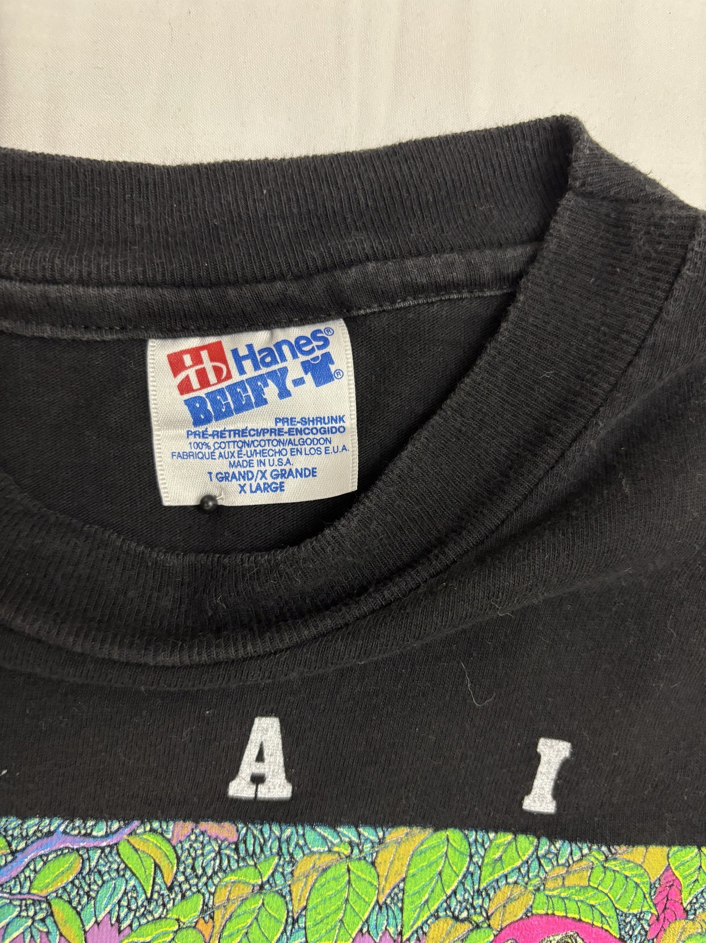 Hanes Vintage 90s Single Stitch Hawaii Preserve Its Rainforest T-Shirt - L