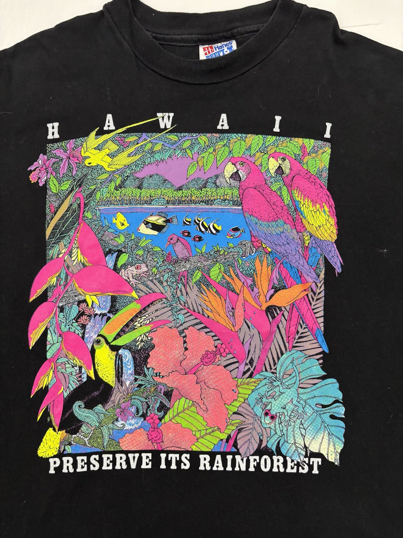 Hanes Vintage 90s Single Stitch Hawaii Preserve Its Rainforest T-Shirt - L