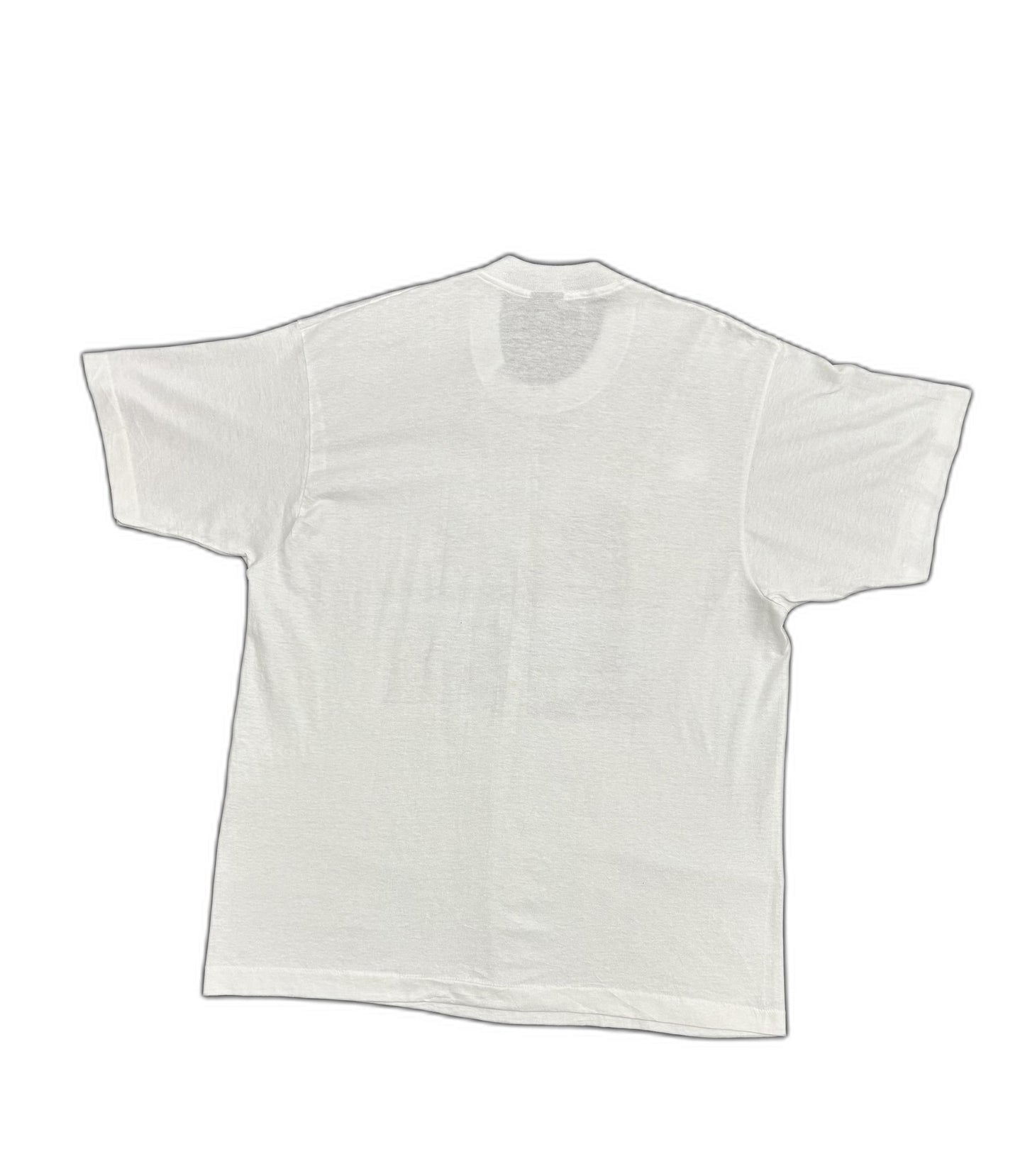 Vintage Made in USA Screen Stars Best Dinosaur Postal Stamp stuff Graphic White T-Shirt - L