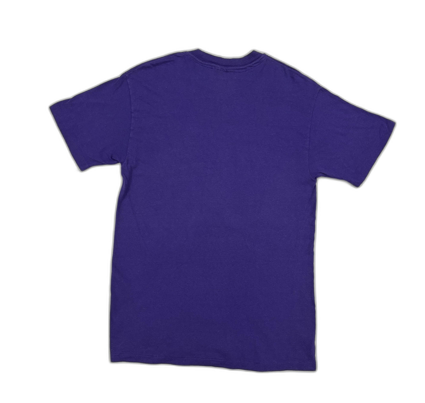 Hanes Beefy-T Black Hills Purple Scenic Graphic T-Shirt - S