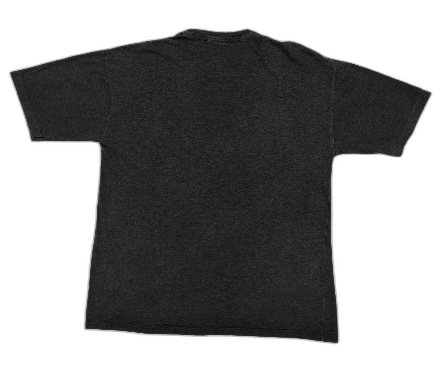 Hazelwood Palm Canyon Native Graphic Black T-Shirt - L