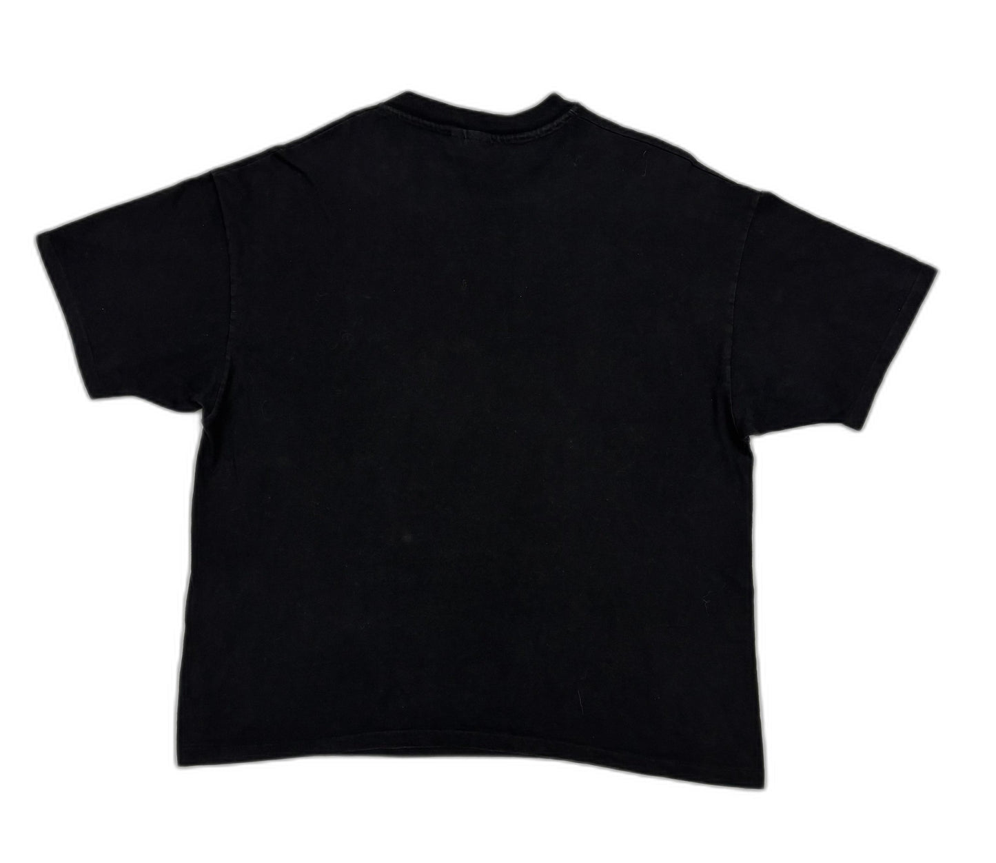 Hanes Vintage 90s Single Stitch Hawaii Preserve Its Rainforest T-Shirt - L