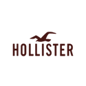 Hollister Men