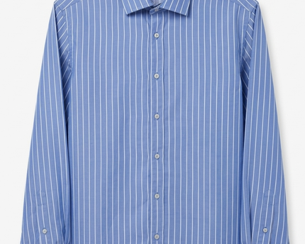 Zara Blue Striped Long Sleeve Button-Down Shirt