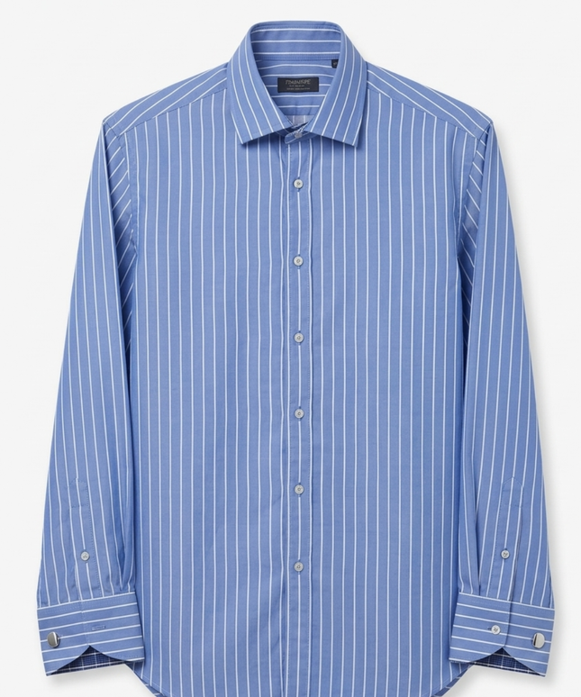 Zara Blue Striped Long Sleeve Button-Down Shirt
