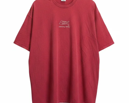 Urban Outfitters Red Wasting Away Embroidered Oversized T-Shirt
