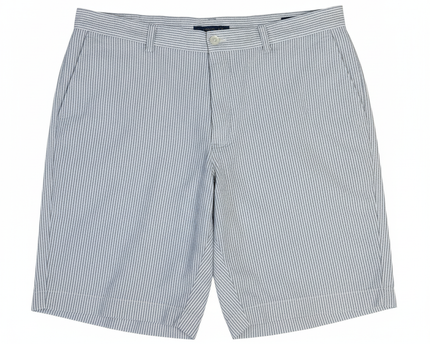 Polo Ralph Lauren Blue and White Striped Classic Fit 9" Shorts