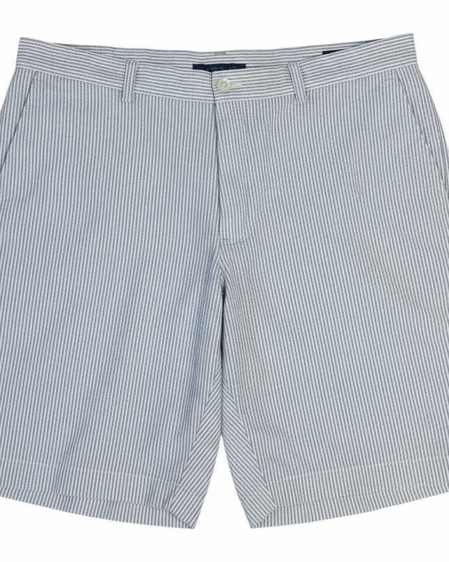 Polo Ralph Lauren Blue and White Striped Classic Fit 9" Shorts