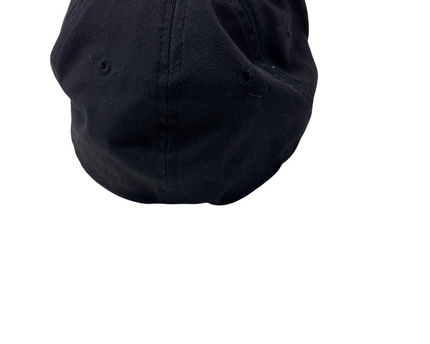 CP-00154-CAP-3PSH3001-back