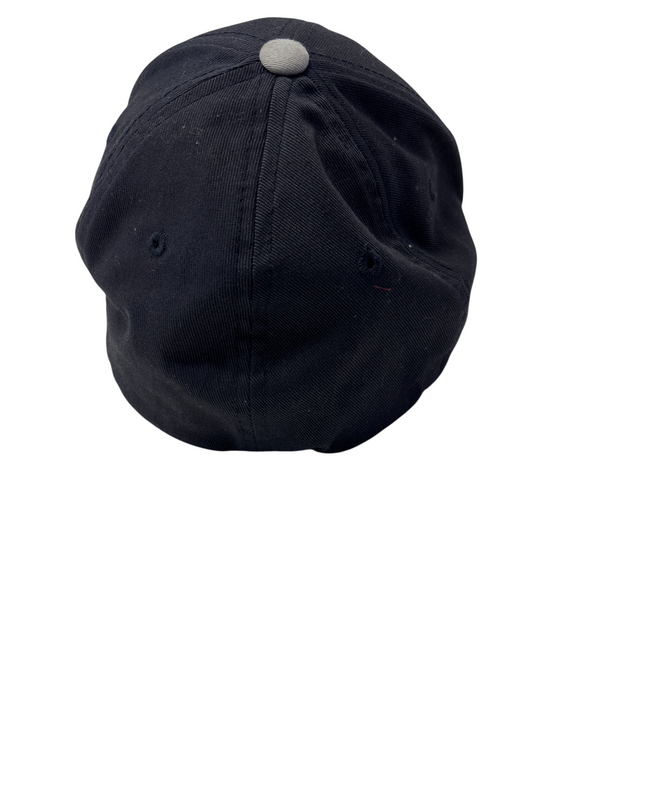 CP-00154-CAP-3PSH3001-back