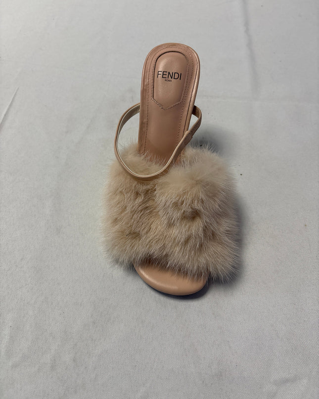 SH-00336-1310-SH-DS5001-details