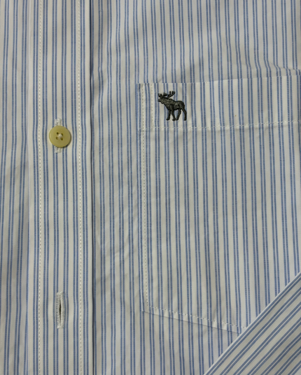 Abercrombie & Fitch Muscle Fit Blue & White Striped Shirt