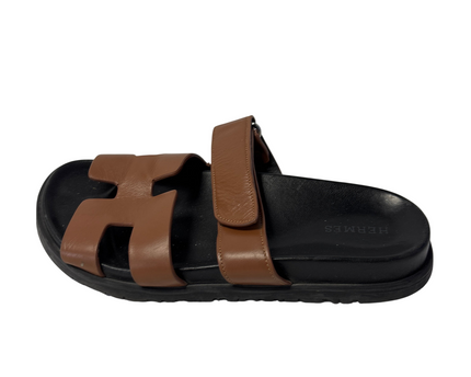 SH-00319-1310-SH-DS5001-front