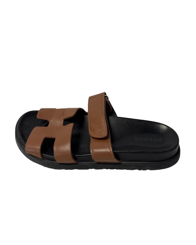 SH-00319-1310-SH-DS5001-front