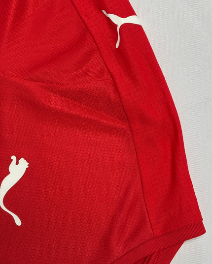 Puma Red & Blue Football Training Jersey