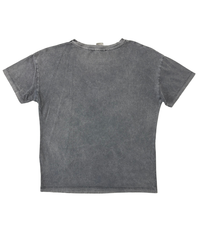 Disney x Stradivarius Lady & The Tramp Gray Vintage Graphic T-Shirt - S