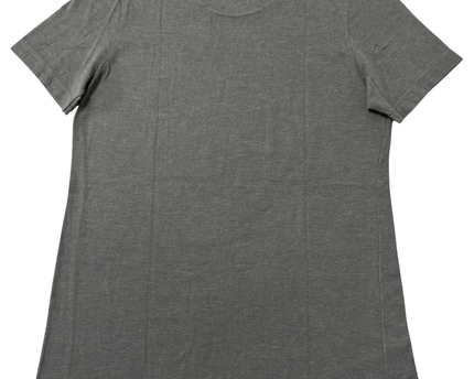 Gildan Jim Thorpe Pennsylvania Dragonfly Graphic Grey T-Shirt