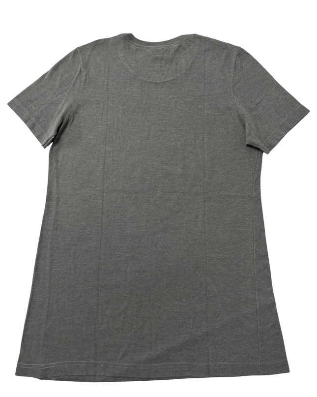 Gildan Jim Thorpe Pennsylvania Dragonfly Graphic Grey T-Shirt