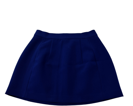 Zara Royal Blue Mini A-Line Skirt