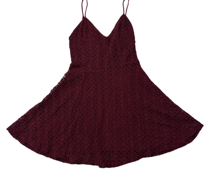 Ecoté Maroon Lace V-Neck Fit & Flare Mini Dress