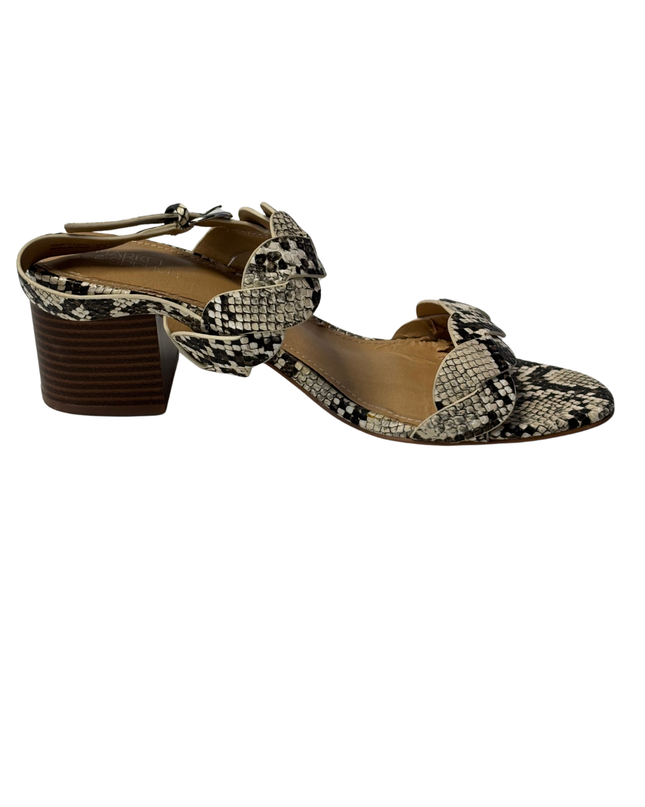 Market & Spruce Snakeskin Braided Block Heel Sandals