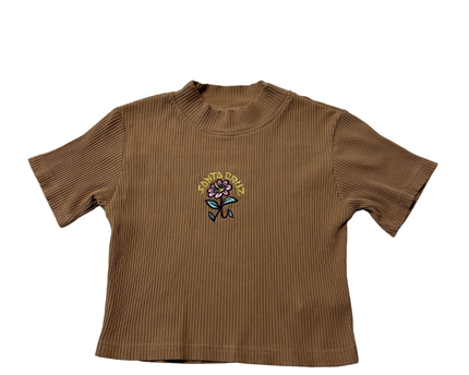 Santa Cruz Brown Ribbed Floral Embroidered Crop Top