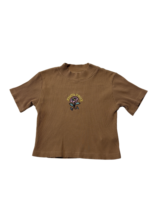 Santa Cruz Brown Ribbed Floral Embroidered Crop Top