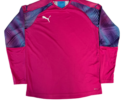 Puma Pink Long Sleeve Graphic Training Jersey