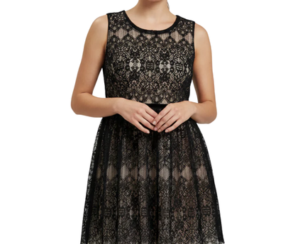 LILY.J Elegant Black Lace Sleeveless Mini Dress with Tulle Hem