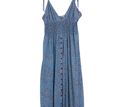 Zara Blue Floral Button-Down Smocked Midi Dress
