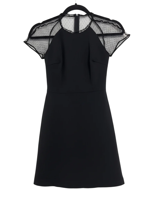 Zara Black Mesh Polka Dot Cap Sleeve Mini Dress