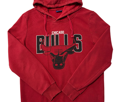 NBA Red Chicago Bulls Graphic Hoodie
