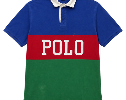 Polo Ralph Lauren Multicolor Colorblock Logo Polo Shirt