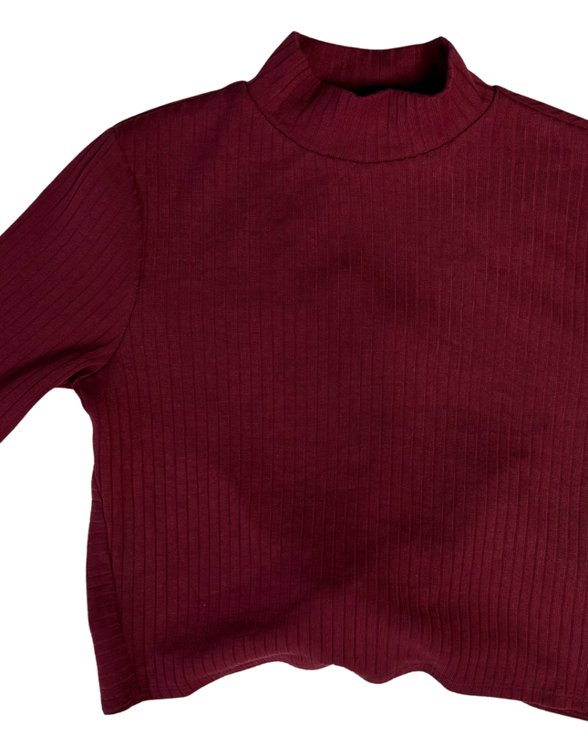 Forever 21 Maroon Ribbed Mock Neck Crop Top