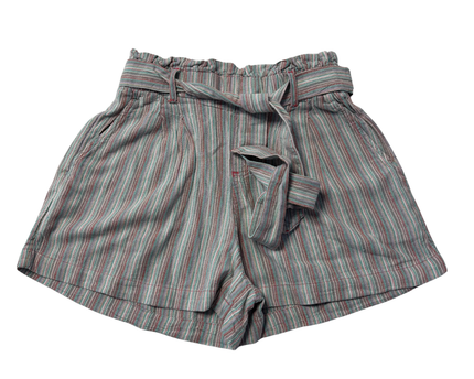 American Eagle Multicolor Striped High-Waisted Paperbag Shorts