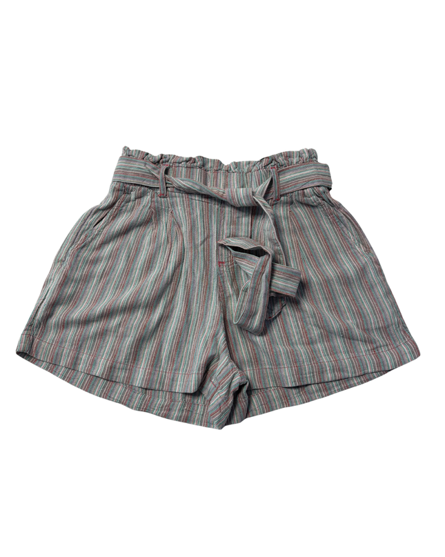 American Eagle Multicolor Striped High-Waisted Paperbag Shorts