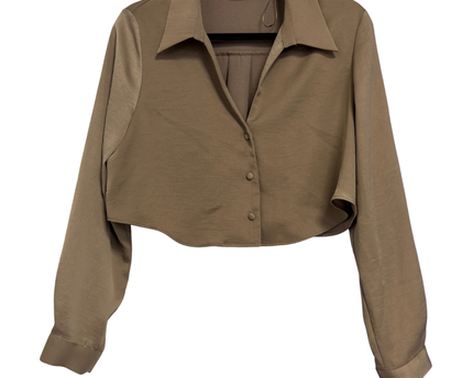 Zara Brown Cropped Button-Down Blouse