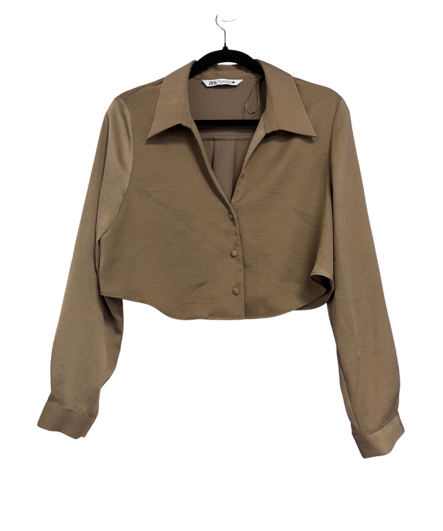Zara Brown Cropped Button-Down Blouse