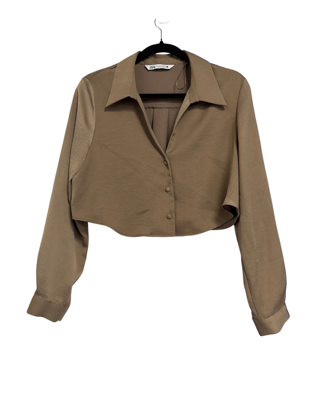 Zara Brown Cropped Button-Down Blouse