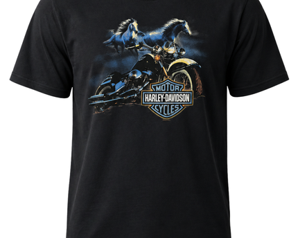 Harley-Davidson Black Cape Town Graphic Tee