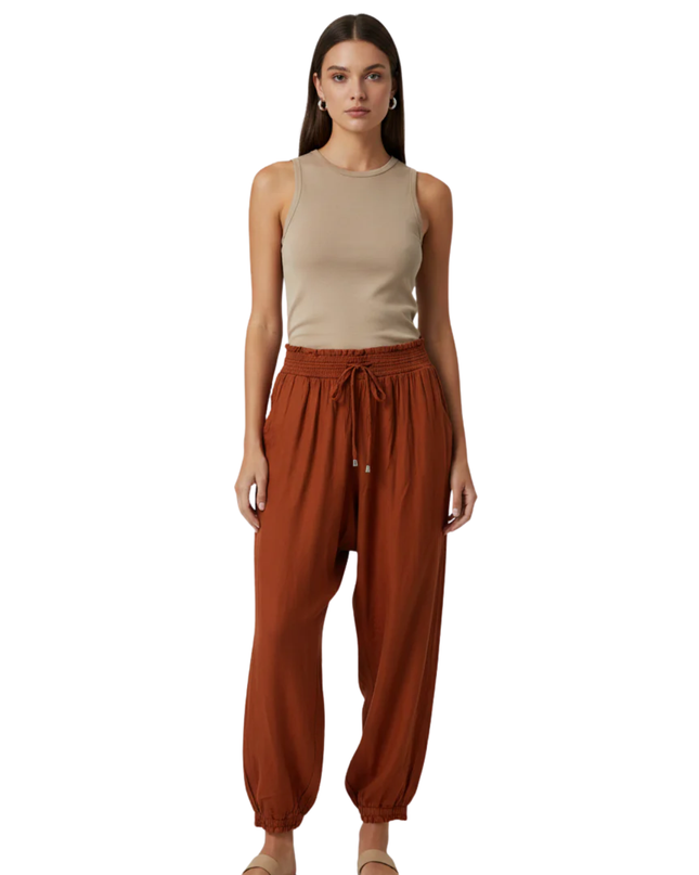 American Eagle Rust Smocked Waist Jogger Pants