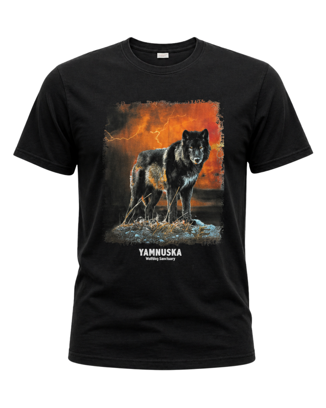 Yamnuska Wolfdog Sanctuary Black Graphic T-Shirt