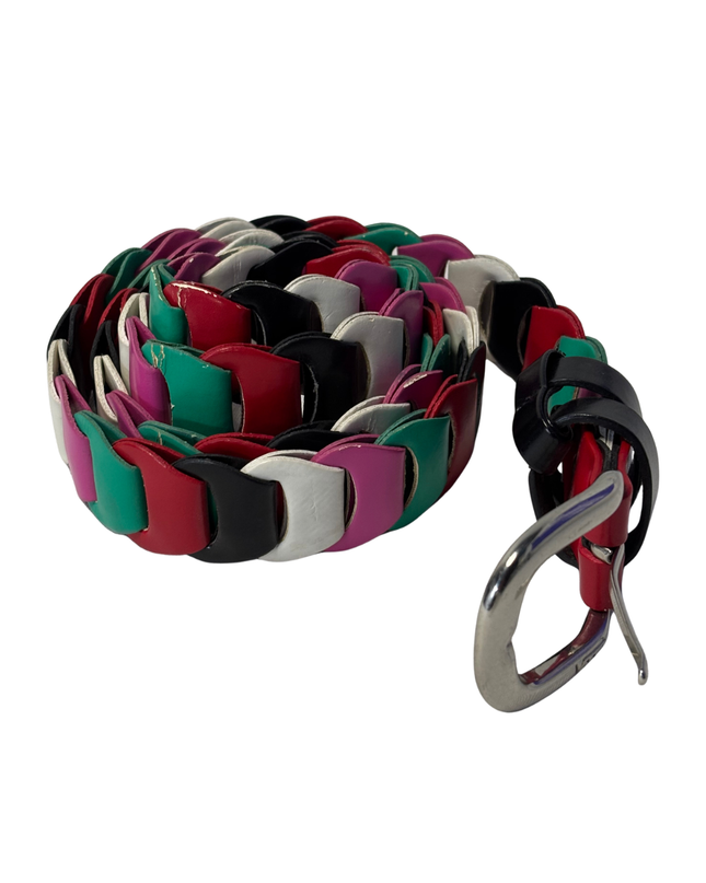 Multicolor Interlocking Woven Belt