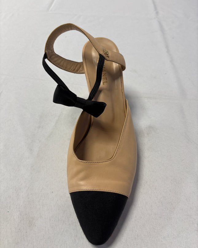 SH-00328-1310-SH-DS5001-details