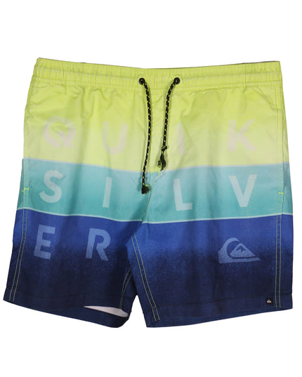 Quiksilver Poolside Multicolor Swim Trunks Short