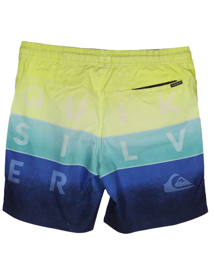 Quiksilver Poolside Multicolor Swim Trunks Short